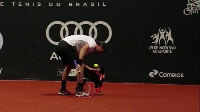Shelter dogs retrieve balls at tennis tournament